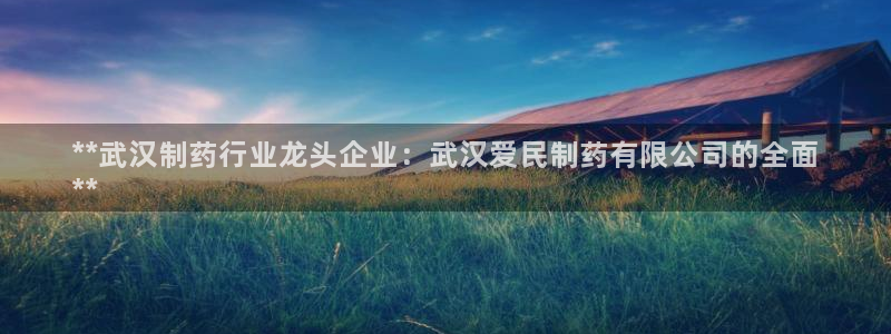 老哥俱乐部是干什么的啊：**武汉制药行业龙头企业：武汉爱民制药有限公司的全面
**