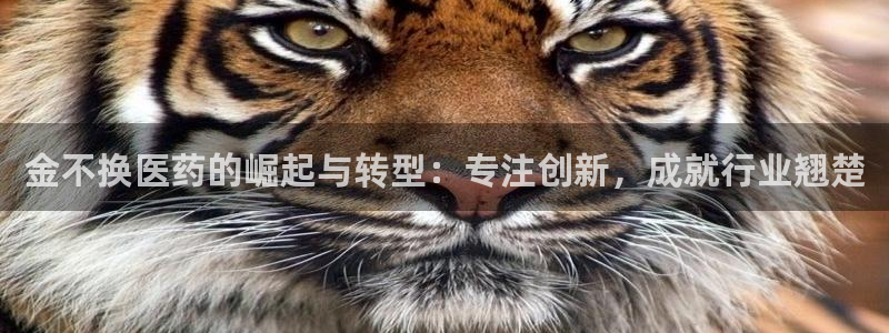 j9九游会老哥俱乐部交流区：金不换医药的崛起与转型：专注创新，成就行业翘楚