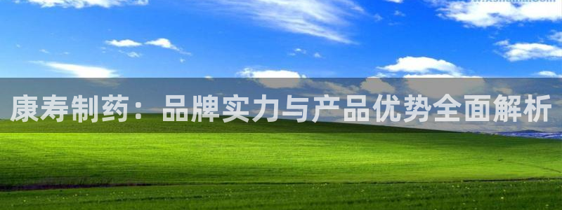 九游会老哥俱乐部官网首页：康寿制药：品牌实力与产品优势全面解析