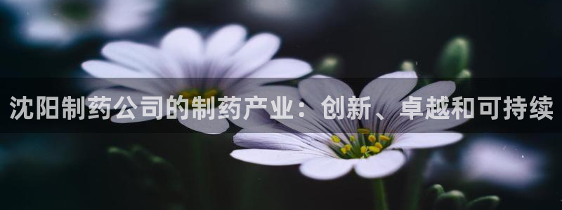 九游老哥俱乐部登录：沈阳制药公司的制药产业：创新、卓越和可持续