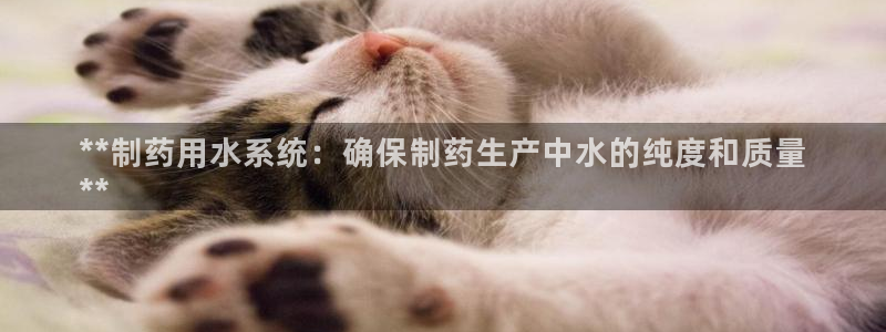 九游会老哥俱乐部
