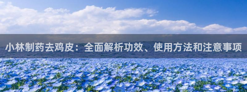 ag九游老哥俱乐部：小林制药去鸡皮：全面解析功效、使用方法和注意事项