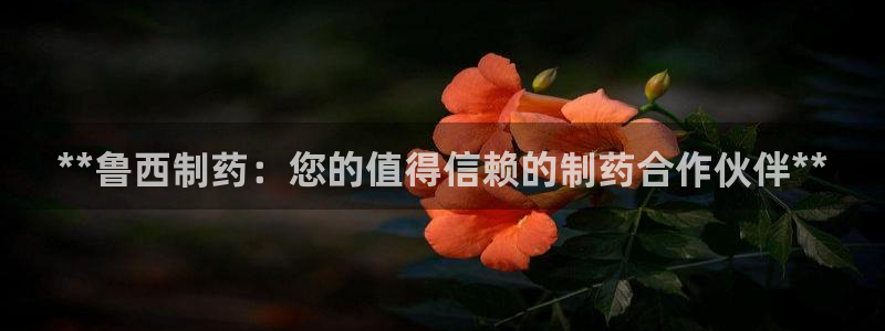 九游会老哥俱乐部官网首页论坛：**鲁西制药：您的值得信赖的制药合作伙伴**