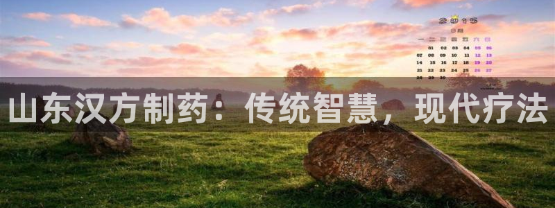 九游会老哥：山东汉方制药：传统智慧，现代疗法