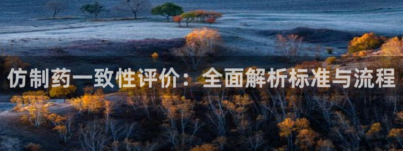 九游会老哥俱乐部：仿制药一致性评价：全面解析标准与流程