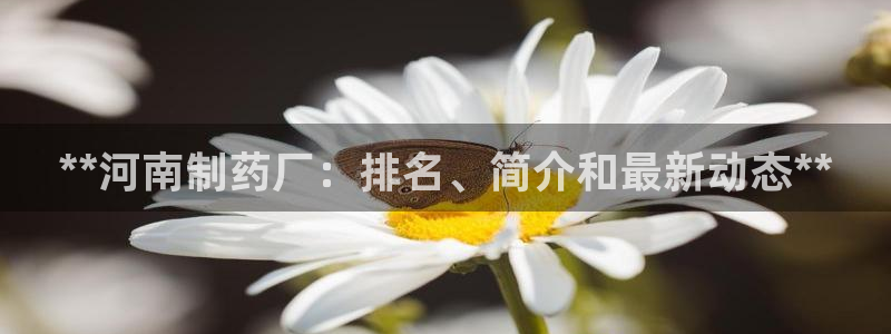 老哥俱乐部是干什么的：**河南制药厂：排名、简介和最新动态**