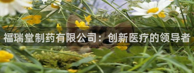 九游会老哥必备的交流社区九：福瑞堂制药有限公司：创新医疗的领导者