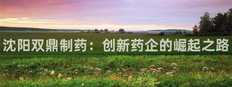九游会老哥俱乐部必备的交流社区论坛：沈阳双鼎制药：创新药企的崛起之路