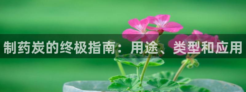 老哥吧九游会下架吗：制药炭的终极指南：用途、类型和应用