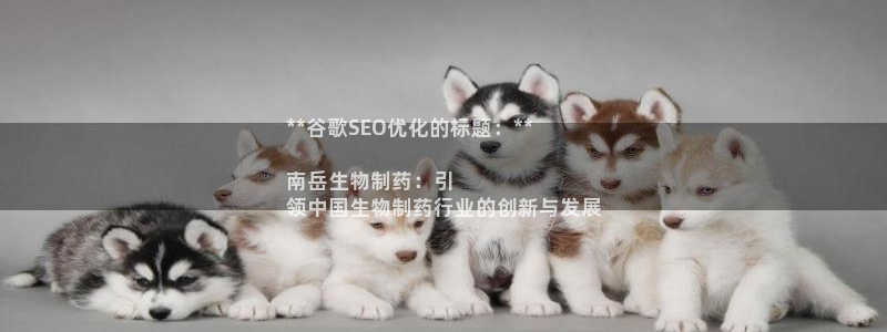 九游老哥俱乐部官网登录网址：**谷歌SEO优化的标题：**

南岳生物制药：引
领中国生物制药行业的创新与发展
