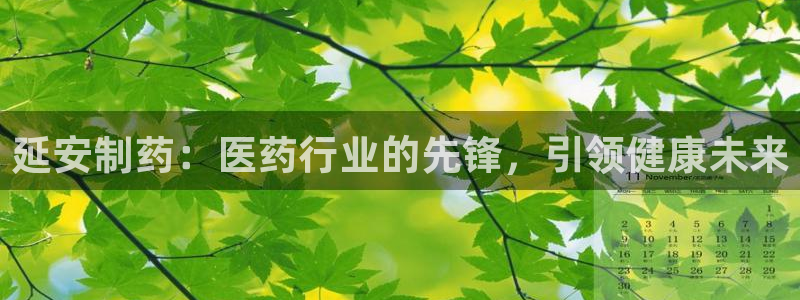 9游会老哥俱乐部：延安制药：医药行业的先锋，引领健康未来