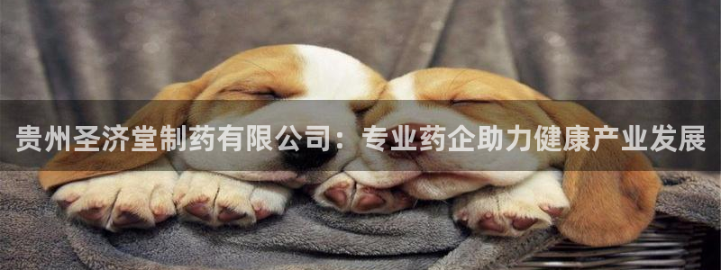 九游老哥俱乐部官网登录网址：贵州圣济堂制药有限公司：专业药企助力健康产业发展