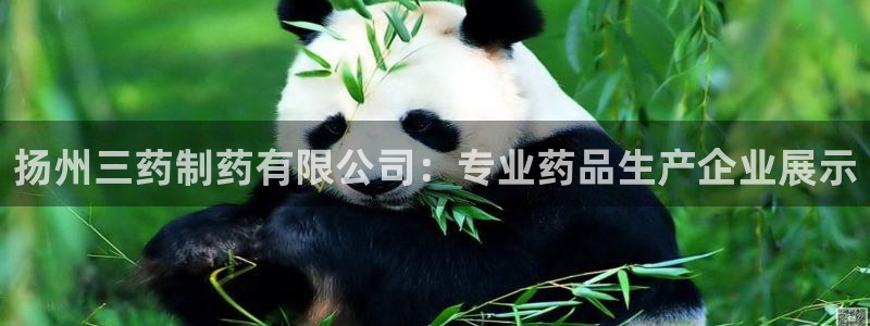 老哥吧九游会下架吗：扬州三药制药有限公司：专业药品生产企业展示