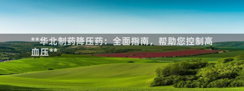 九游老哥俱乐部官网登录：**华北制药降压药：全面指南，帮助您控制高
血压**
