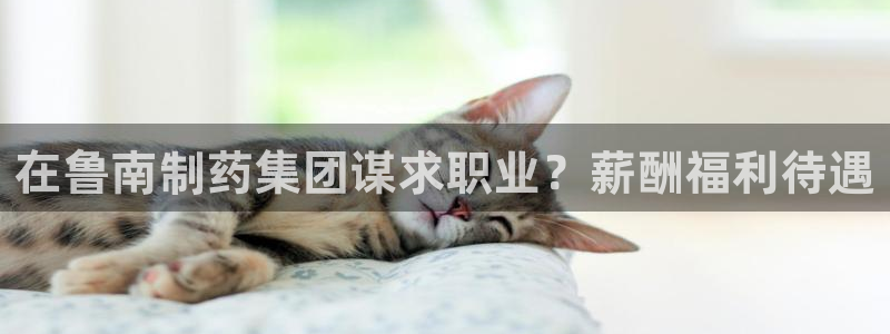 j9九游会老哥俱乐部交流区：在鲁南制药集团谋求职业？薪酬福利待遇