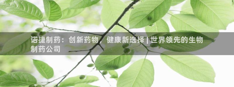 九游会老哥必备的交流社区九：诺捷制药：创新药物，健康新选择 | 世界领先的生物
制药公司