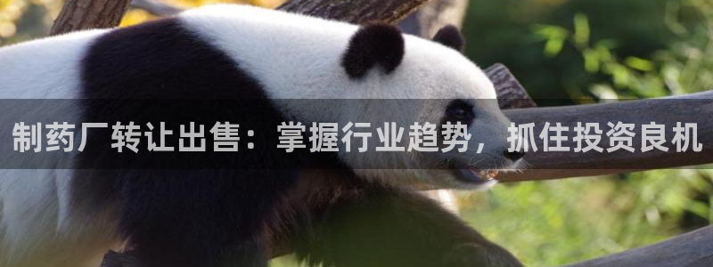 九游会老哥俱乐部必备的交流社区论坛：制药厂转让出售：掌握行业趋势，抓住投资良机