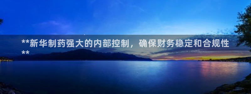 九游会老哥俱乐部论坛版：**新华制药强大的内部控制，确保财务稳定和合规性
**