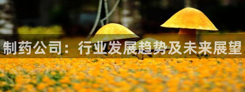 ag九游会老哥俱乐部：制药公司：行业发展趋势及未来展望