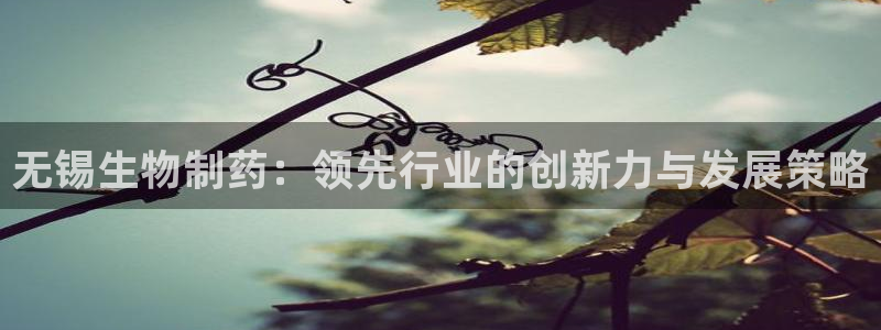 九游老哥俱乐部官网登录不了：无锡生物制药：领先行业的创新力与发展策略