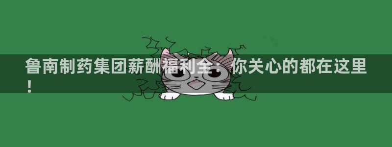 九游会老哥俱乐部：鲁南制药集团薪酬福利全：你关心的都在这里
！