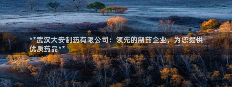 九游会老哥俱乐部交流社区：**武汉大安制药有限公司：领先的制药企业，为您提供
优质药品**