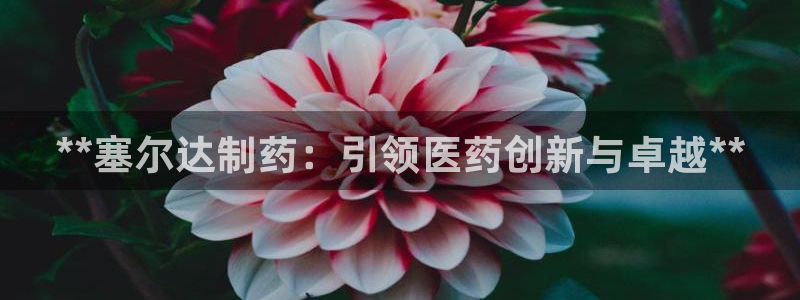 老哥俱乐部是干什么的：**塞尔达制药：引领医药创新与卓越**