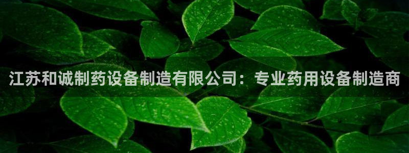 九游会老哥俱乐部官网：江苏和诚制药设备制造有限公司：专业药用设备制造商