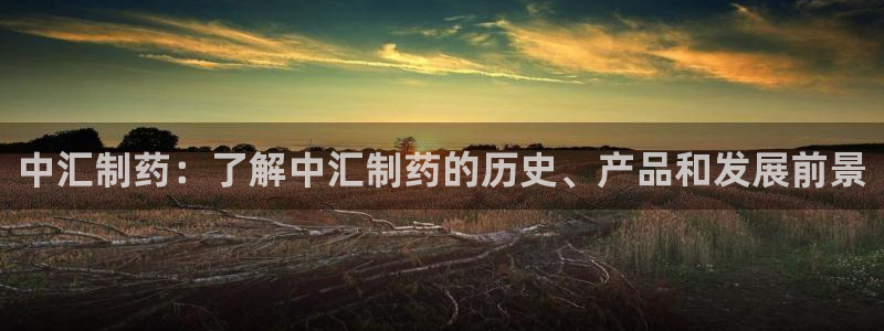 九游会老哥俱乐部：中汇制药：了解中汇制药的历史、产品和发展前景