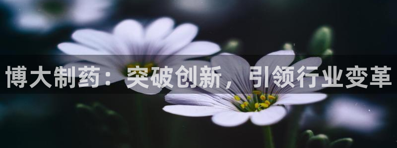 九游会老哥：博大制药：突破创新，引领行业变革