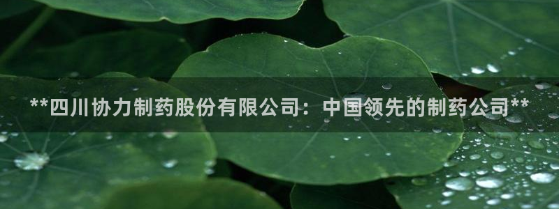 ag九游会老哥俱乐部：**四川协力制药股份有限公司：中国领先的制药公司**