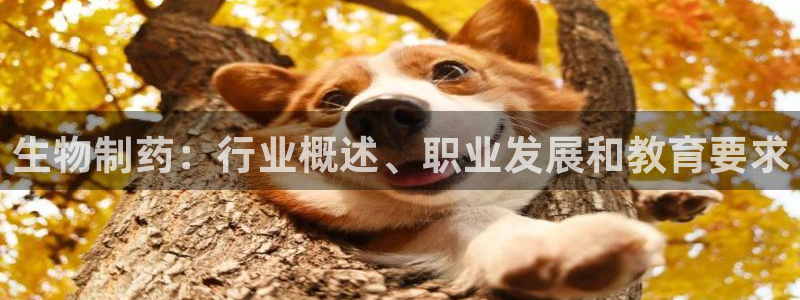 九游老哥俱乐部官网登录：生物制药：行业概述、职业发展和教育要求