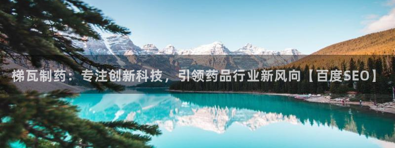 九游会老哥俱乐部官网：梯瓦制药：专注创新科技，引领药品行业新风向【百度SEO】