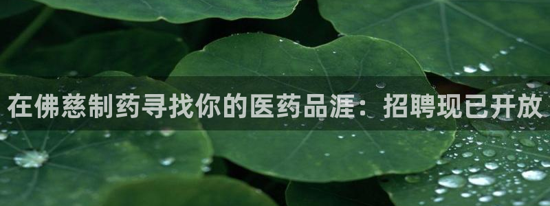 九游会老哥：在佛慈制药寻找你的医药品涯：招聘现已开放